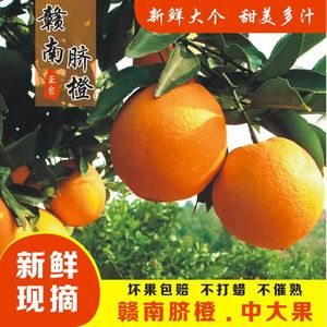 【产地直发】正宗赣南脐橙江西脐橙5斤装