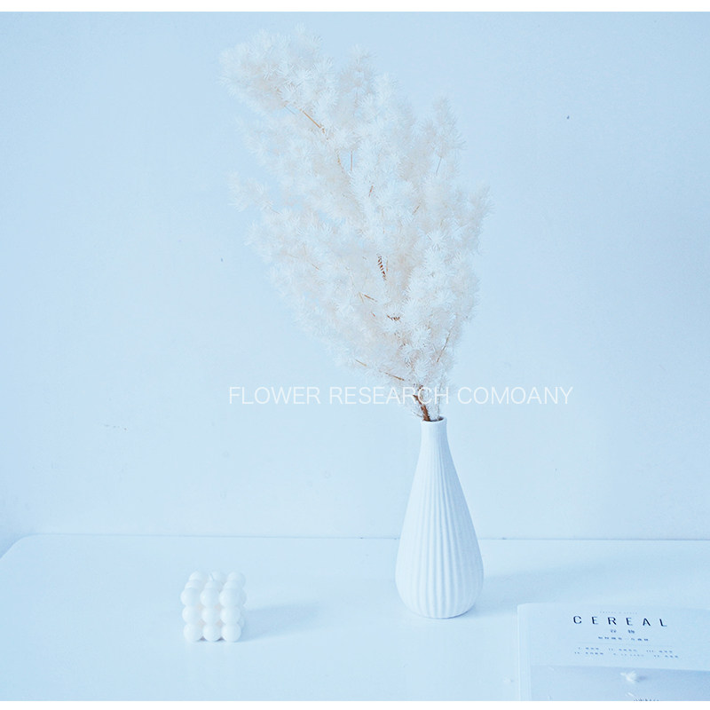 蓬莱松永生花白色diy礼盒玻璃罩材料手工制作挂件车挂干花配花 莳花志 淘优券