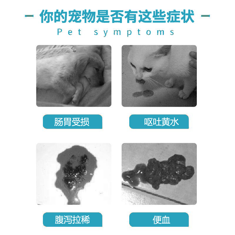 泻立停蒙脱石散宠物狗狗猫咪仓鼠兔子兽用拉稀止泻益生菌软便剂 - 图0