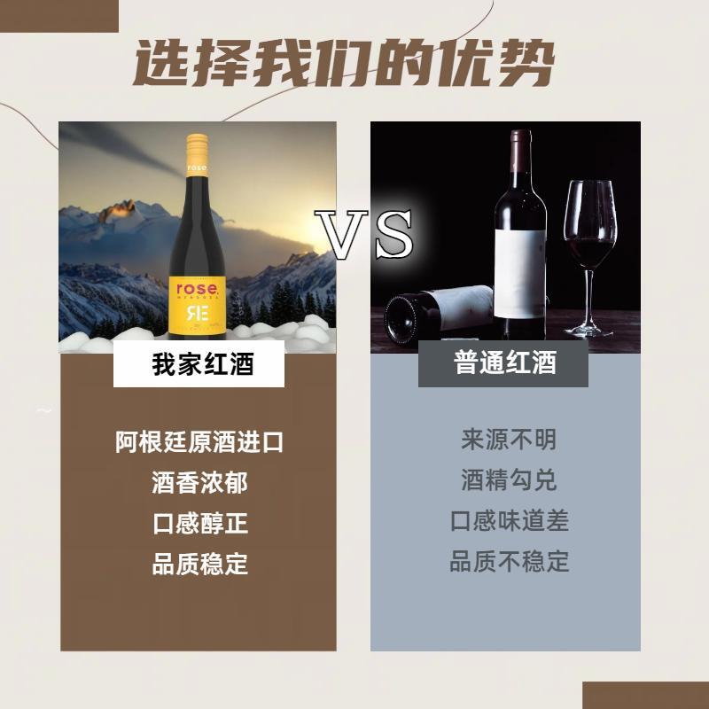 【醉赢赢酒业】阿根廷进口13度红葡萄酒 - 图3