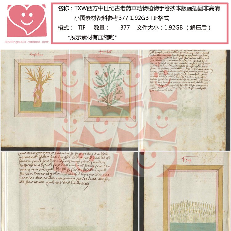 TXW西方中世纪药草动物植物手卷抄本版画插图非高清小图素材资料 - 图0