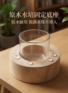 马醉木吊钟富贵竹水培防滑底托固定玻璃花瓶底座保护防摔防碎防倒