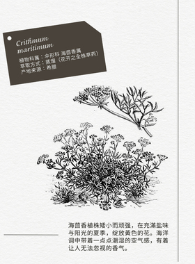 海茴香精露补水喷雾四月April