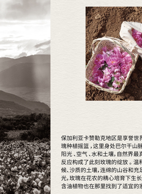 大马士革玫瑰纯露精露补水喷雾