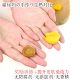 Собачья закуска самодельные воздушные яичные желтки Тедди Золотое пальто лецитин.