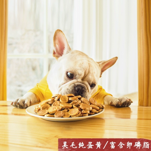 Собачья закуска самодельные воздушные яичные желтки Тедди Золотое пальто лецитин.