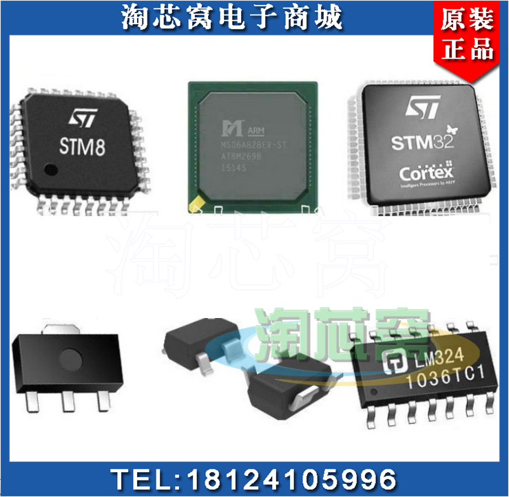 IS61WV102416BLL-10TLI TSOP-48 ISSI存储器全新原装【淘芯窝】-图1