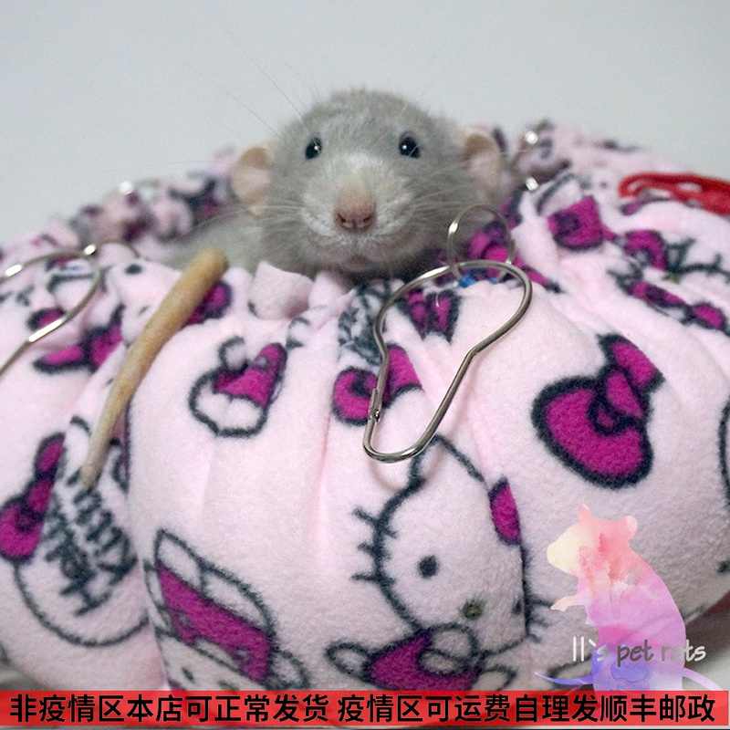 11鼠宝花枝鼠 新人首单立减十元 22年9月 淘宝海外 11鼠宝花枝鼠 新人首单立减十元 22年9月 淘宝海外