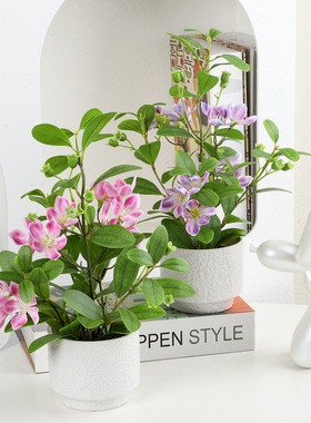 跨境仿真绿植陶瓷长春花盆栽仿真植物花盆装饰家居装饰仿真花摆件