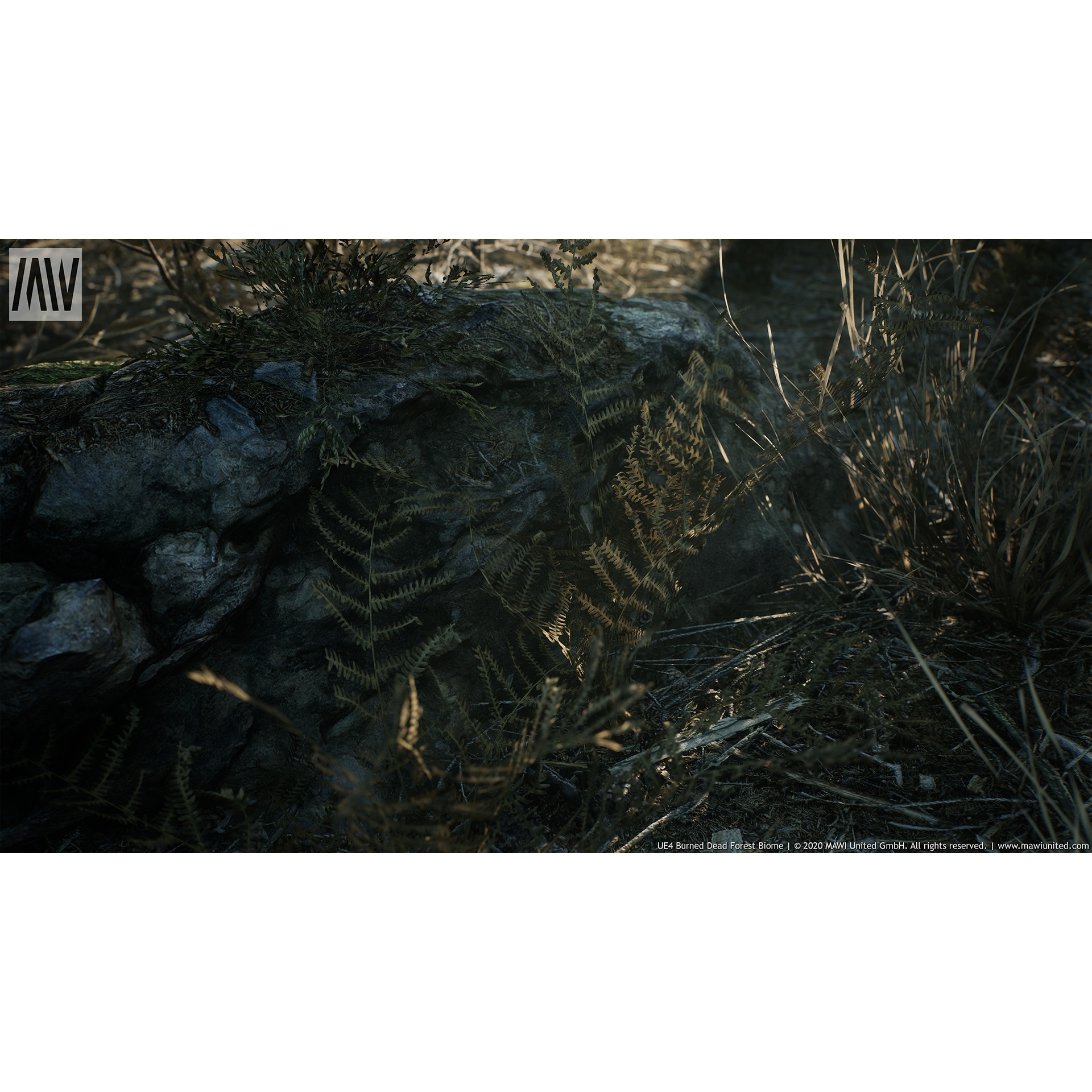 UE4UE5 MW Burned Dead Trees Forest Biome燃烧森林树林场景-图3