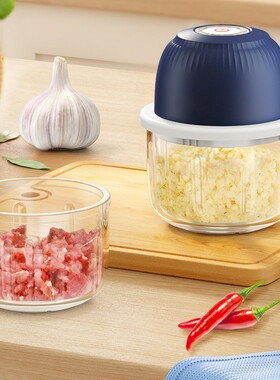 料理绞肉机小型家用机帕尼迪蒜泥器电动副食品器