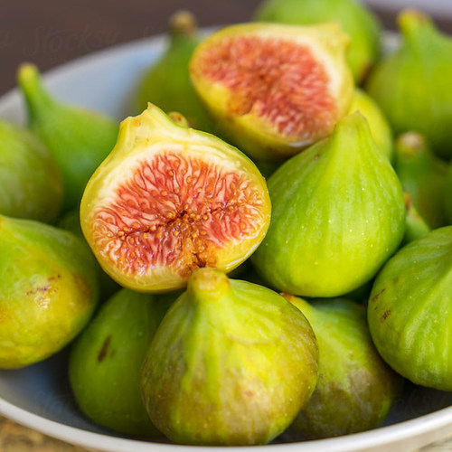 天狼 无花果 阳台庭院家庭四季可栽食用果树苗绿植盆栽 - 图0