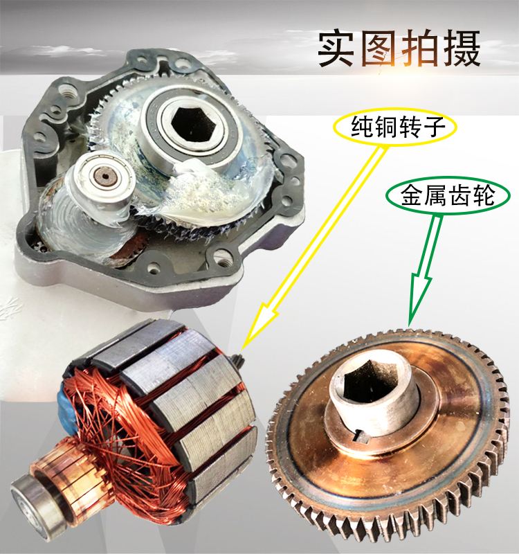 12V24V600W45转 直流电机 马达 带链轮 60V施肥 旋耕 农机电滚子 - 图3