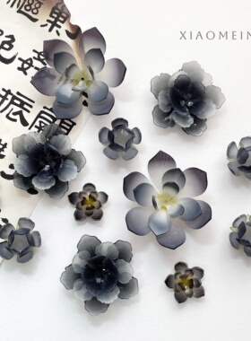 浮花录夏日荷花滴油穿孔热缩片