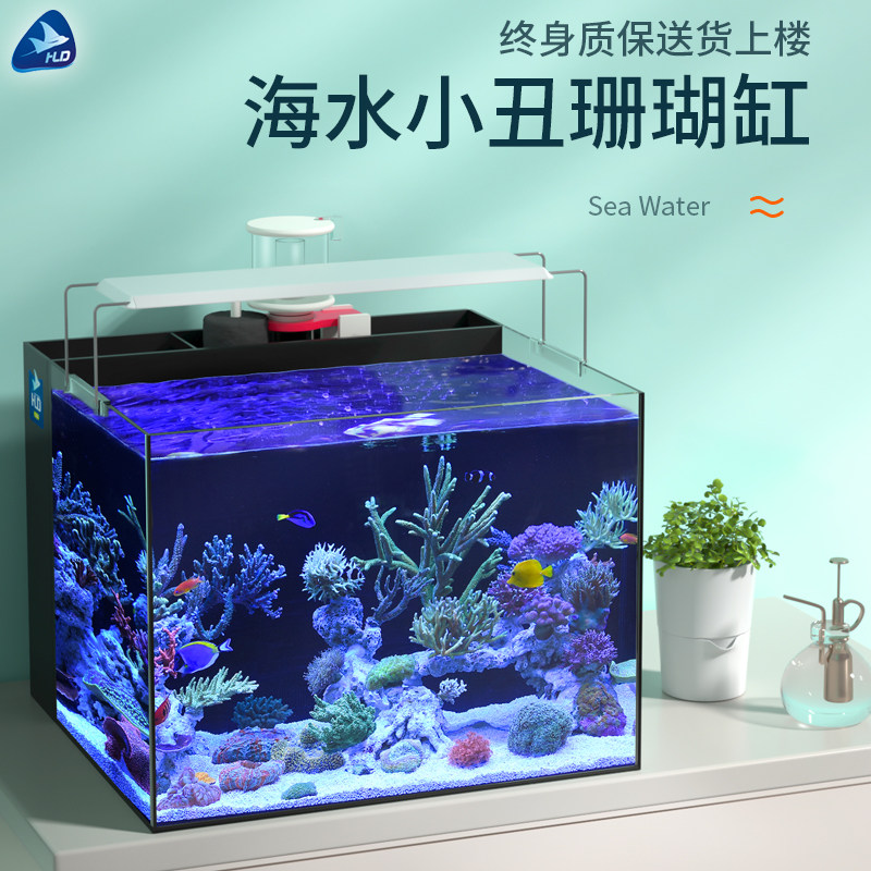 检疫缸海水鱼 新人首单立减十元 21年8月 淘宝海外