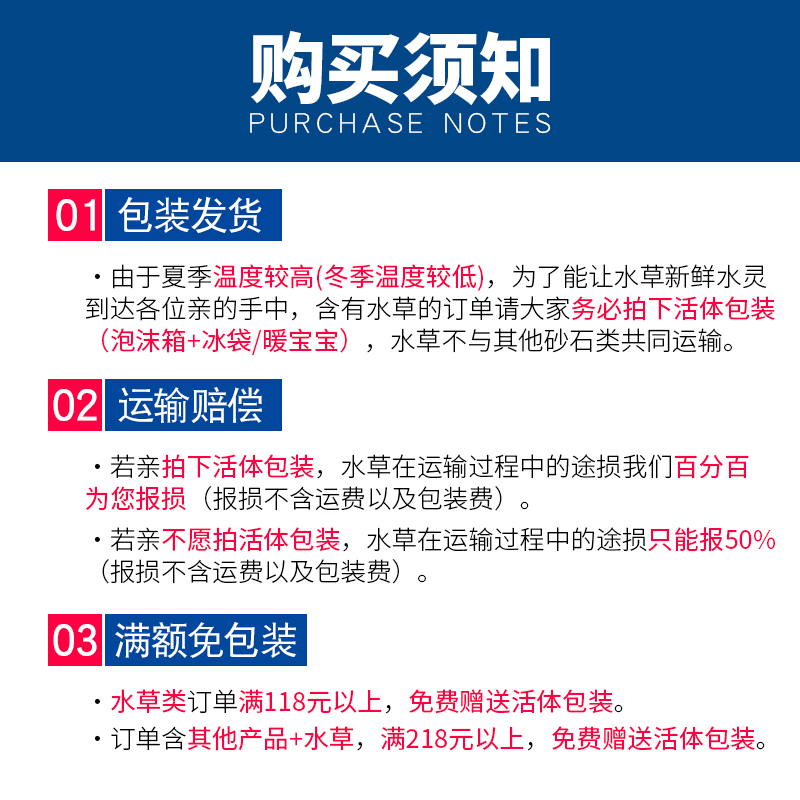 迷你椒草鱼缸中前景造景草淡水真椒草类迷你绿叶椒活体水族箱装饰 - 图2