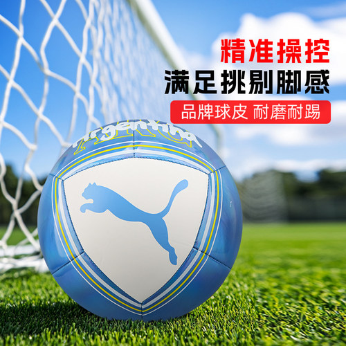 小李子PUMA彪马26世界杯阿根廷文化机缝5号比赛训练足球084969 01 - 图0