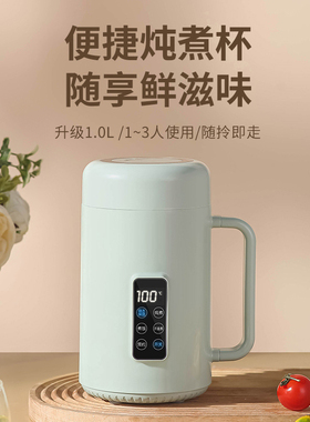 110V电炖杯美英欧规多功能养生杯迷你煮粥锅便携式台湾香港电炖杯