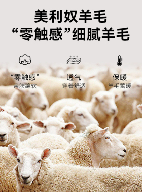 拓路者秋冬美利奴羊毛保暖护耳帽