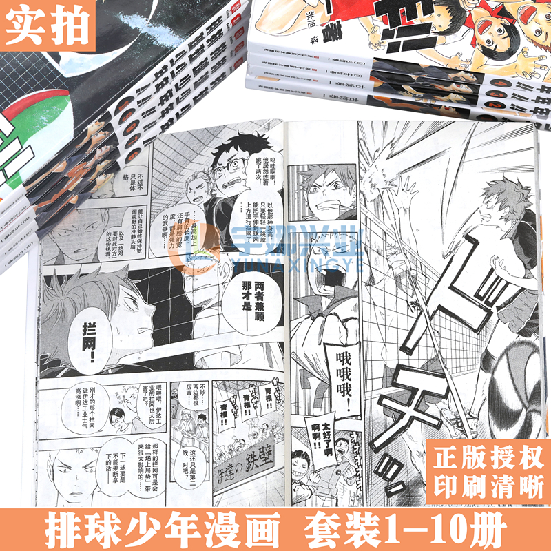 现货【单册任性】正版排球少年漫画书1-35册排球少年漫画古馆春一著排球少年漫画日本热血动漫小说书灌篮高手漫画同类柒海图书-图3