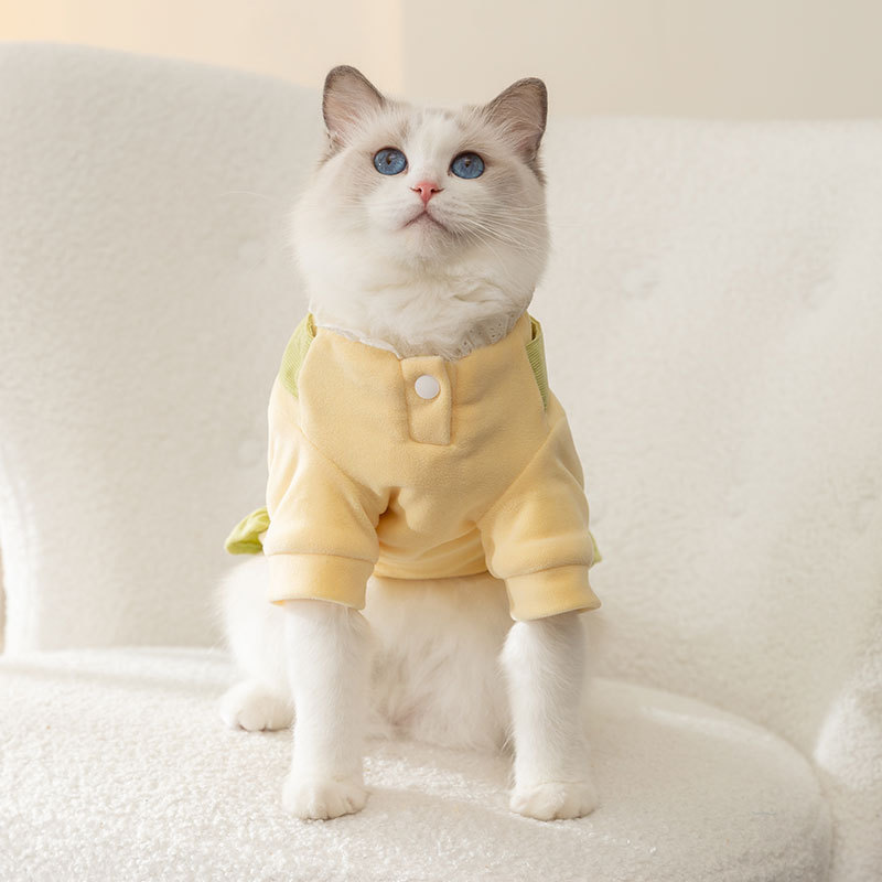 猫咪秋冬季可爱保暖衣服连衣裙狗狗棉衣宠物裙子布偶猫橘猫金渐层 - 图1