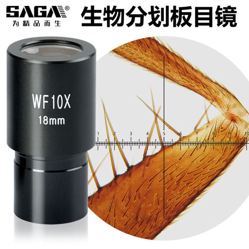 萨伽配件生物/体视显微镜镜头WF10X倍分划板广角目镜带测微尺测量 - 图0