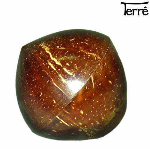 德瑞Terre椰球ball shaker Coconut椰壳进球乐器 - 图0