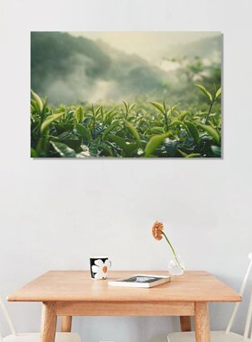 茶园茶田茶叶周边唯美风景直播茶馆房间背景墙帆布无框画装饰挂画
