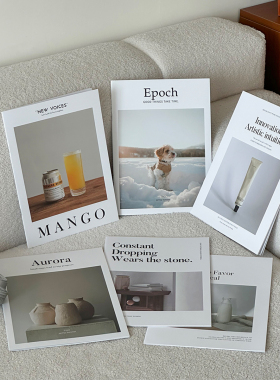 现代简约高级感杂志拍照道具法式仿真书装饰摆件摄影桌面布景艺术