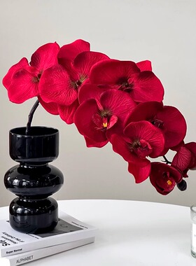 仿生蝴蝶兰假花仿真花摆设轻奢花艺花瓶插花家居客厅装饰摆件花束