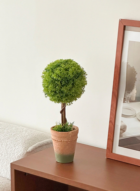 工位情绪稳定摆件仿真盆栽装饰摆件仿真盆景绿植ins假花摆设道具