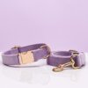 Neck collar traction rope engraved anti-lost collar