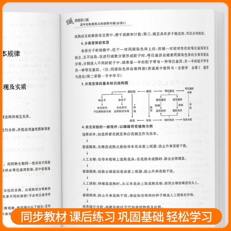 浙大剑指双一流 高中生物重难点突破微专题必修选修第一二册金松涛王苗苗 高中生物典型例题知识点分析解题方法策略书浙大理 - 图3
