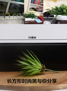 陶瓷长方形白色花盆拼盘植物摆件