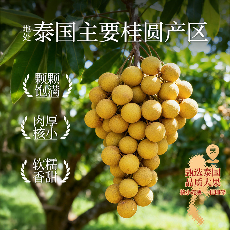 良品铺子桂圆干低脂泰国龙眼果干货蜜饯健康泡水下午茶零食送礼,淘宝优惠券,粉丝福利购,淘宝优惠卷