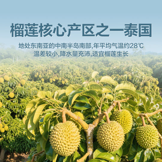 Bestore freeze-dried durian 30g*1 bag