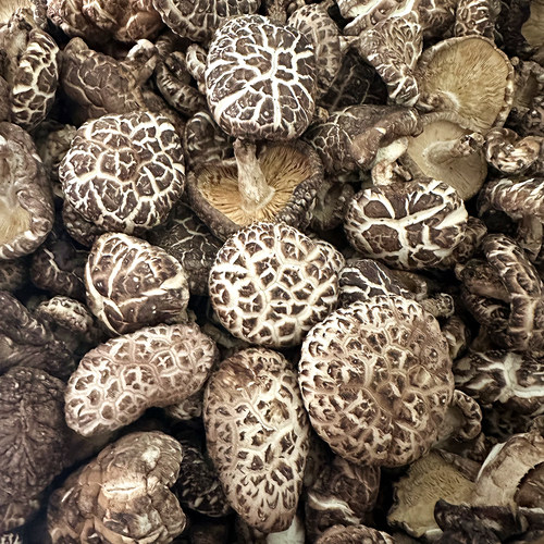 椴木花菇干货500g精选干香菇湖北南漳农家段树冬菇野外木头小花菇 - 图2