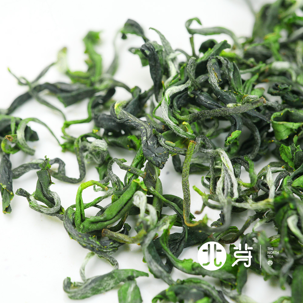 日照绿茶豆香礼盒袋装新茶毛尖豌豆鲜一芽一叶特级北芽正品店