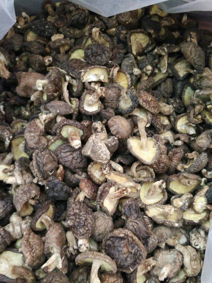 粤北韶关山区特产椴木香菇/冬菇肉质弹牙!冬菇味正!250克_虎窝淘