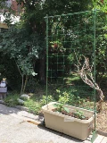 Садовые кронштейны, перголы, огурцы, люфа, фасоль, специальные кронштейны для горшечных растений, трубы с пластиковым покрытием.