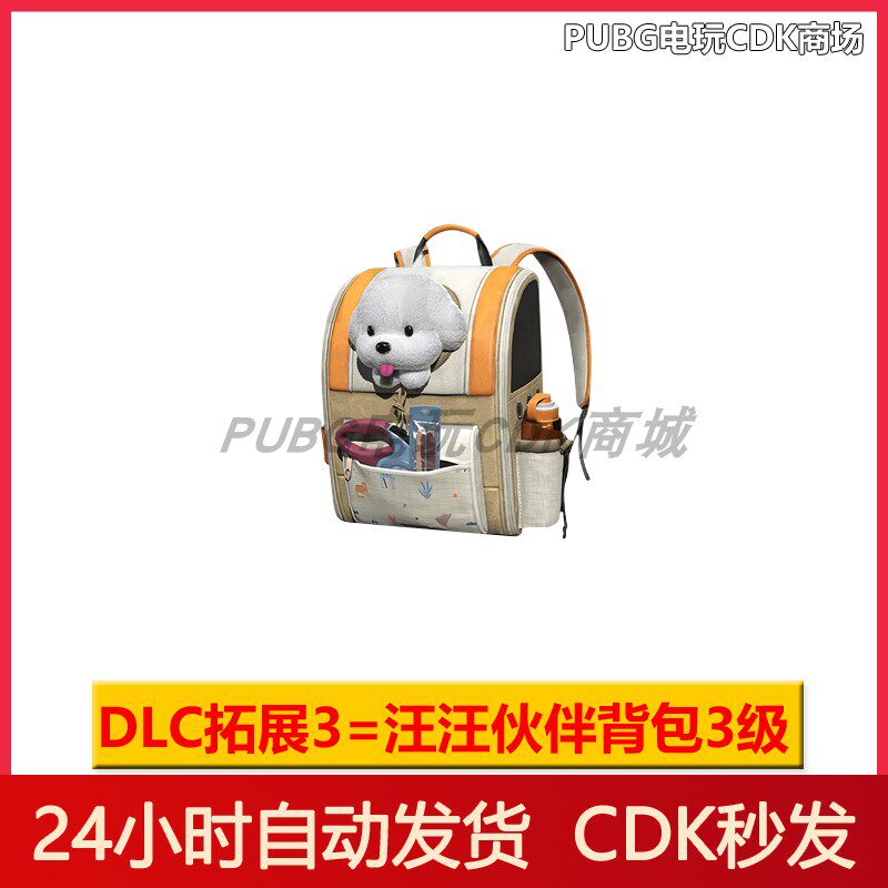 pubgPUBG绝地求生皮肤汪汪伙伴背包套装吃鸡1级2级3级背包兑换码CDK