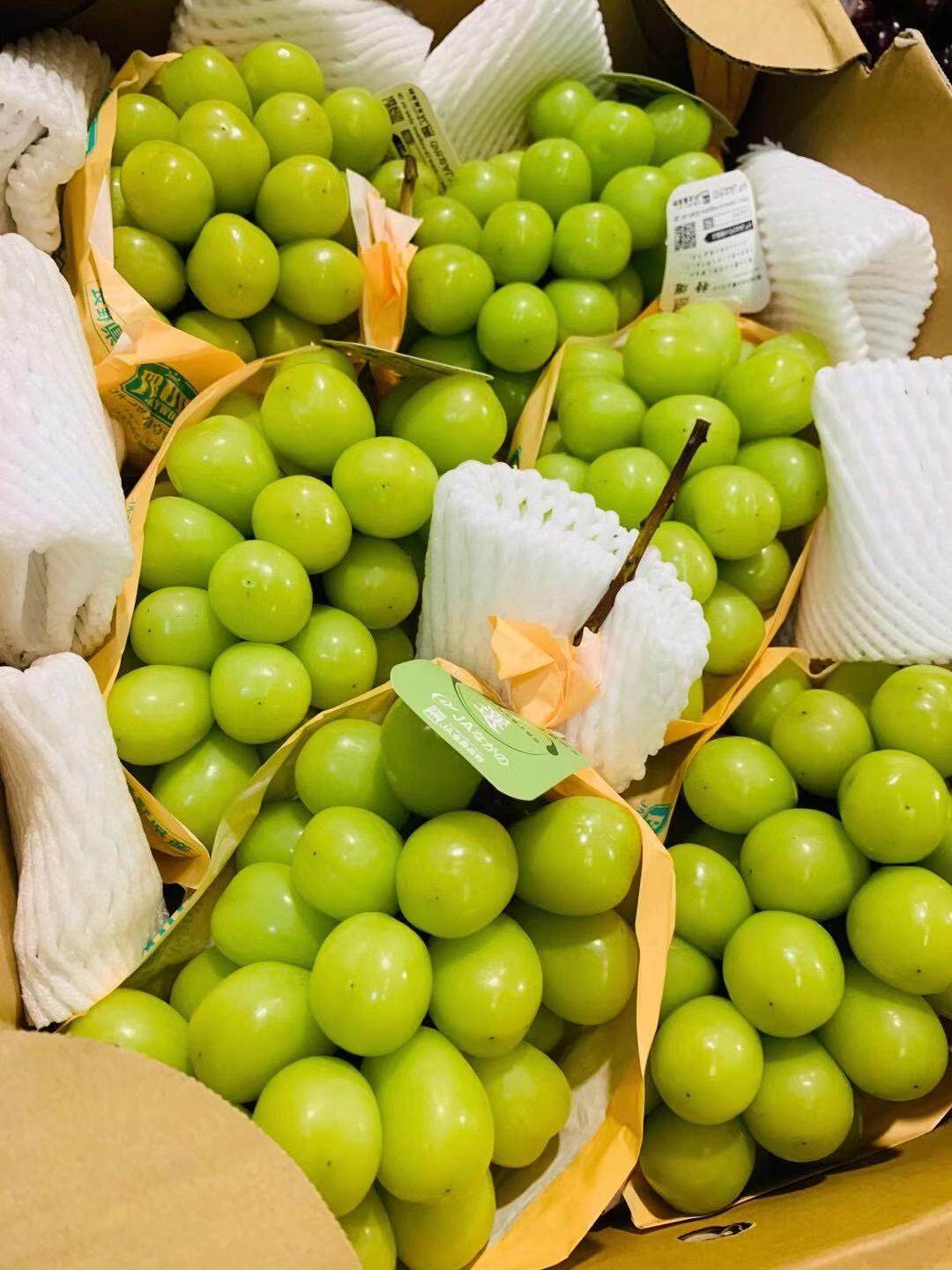 北京三源里大logo同款葡萄晴王提子 日本进口水果3串约2-3斤装