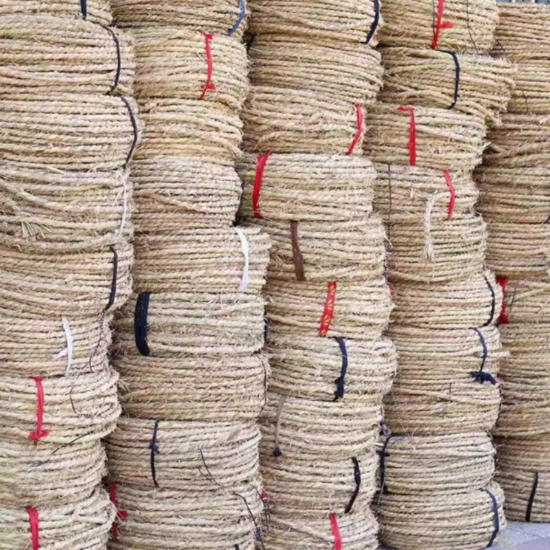 草绳稻草绳园林花木移栽包扎捆绑树木草绳子仿寒保暖加厚裹树布批 - 图3