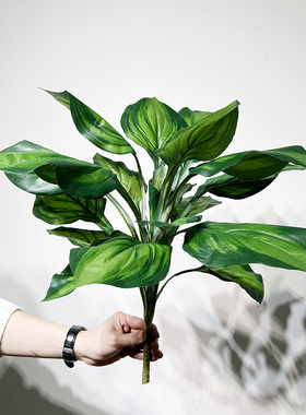 仿真把束蕨草假叶子花槽小绿植盆栽室内绿化植物墙造景观装饰摆设