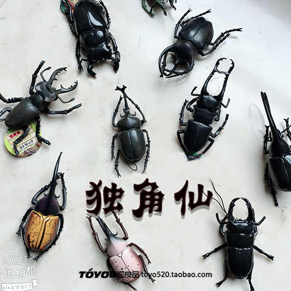 日本甲虫 新人首单立减十元 22年6月 淘宝海外