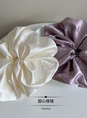 直径23cm超大号韩系缎面大肠圈