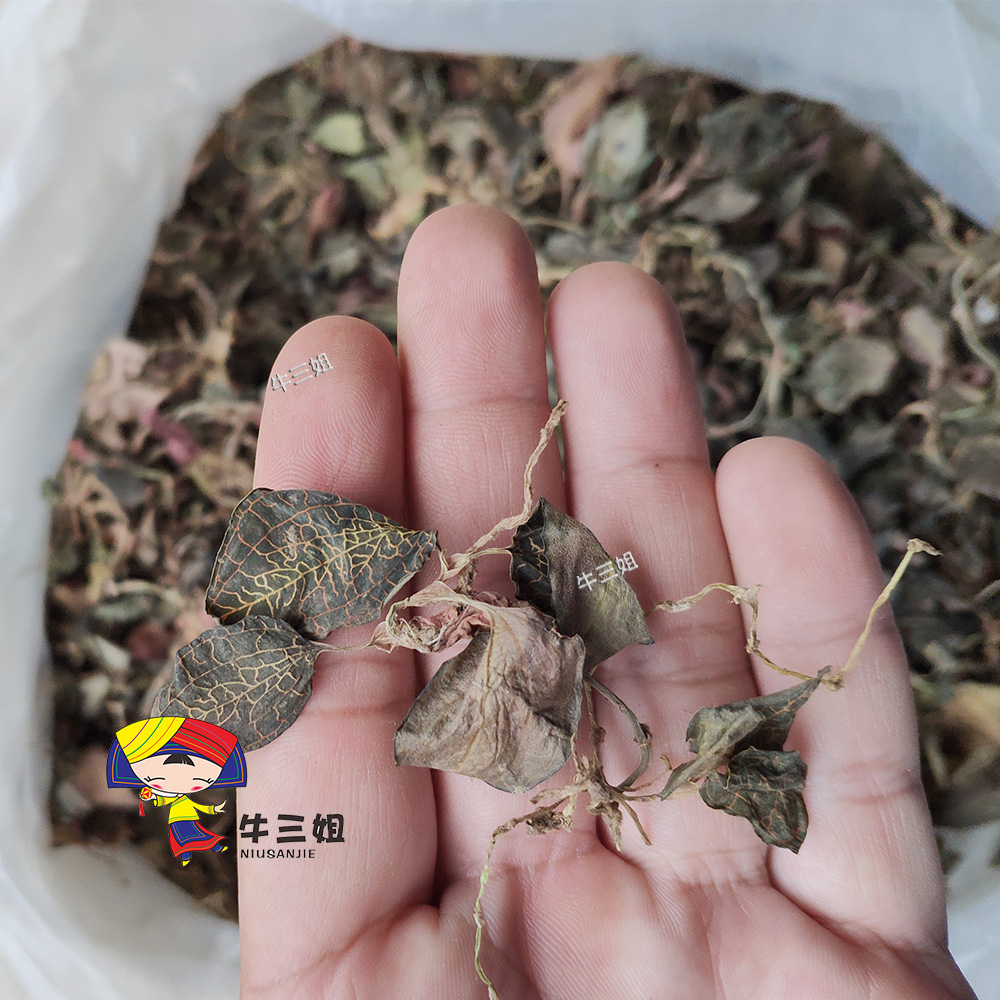 广西金线莲干货金线莲茶金丝草金线草金线风包邮50g