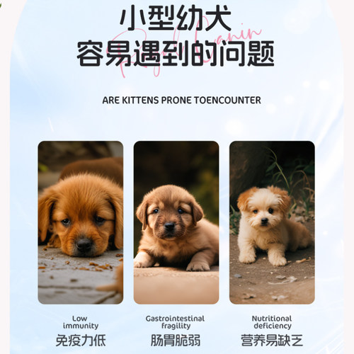 皇家MIS30 小型犬通用型奶糕贵宾泰迪狗粮怀孕及幼犬粮1kg/3KG - 图1
