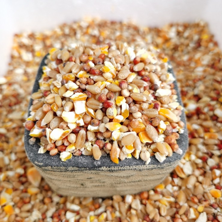 高梁麦子玉米碎混合喂鸡玉米粉碎渣玉米糁鸡鸭粮食鸽子粮兔猪仓鼠,淘宝优惠券,粉丝福利购,淘宝优惠卷