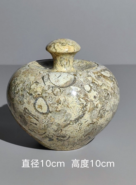 进口珊瑚化石储物罐摆件轻奢复古风玄关桌面装饰品创意家居饰品